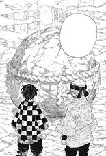 The Final Obstacle.png
