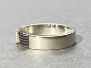 GJ collar ring4