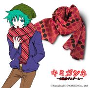 Sou's scarf