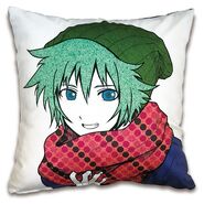 GJ pillow - sou