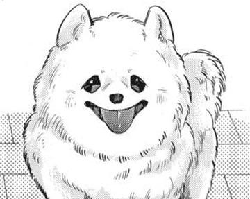 Yukimi | Kimi to Koete Koi ni Naru Wiki | Fandom