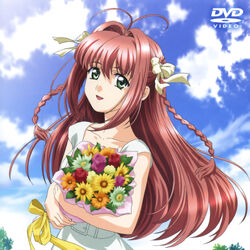 Kimi Ga Nozomu Eien Rumbling Hearts Wiki Fandom Kimi Ga Nozomu Eien Rumbling Hearts Wiki Fandom