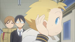 Chizuru Tachibana Kimi To Boku Wiki Fandom Chizuru Tachibana Kimi To Boku Wiki Fandom