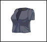 Starlet-top-short129.png