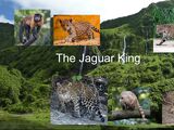 The Jaguar King