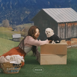 DAHEE Focus album cover