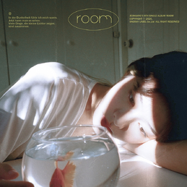 ARO Room album cover
