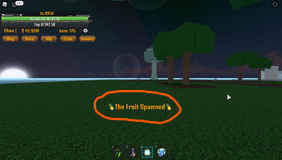 All Devil Fruit Spawn Location in Blox Fruit (All Seas & Island So Far)  