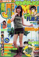 YJ#19 (2006)