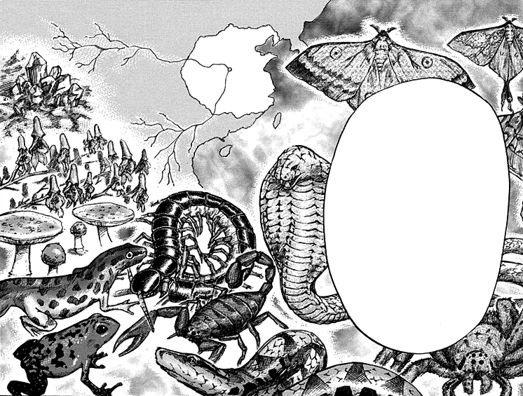 Sei Kai Kingdom Wiki Fandom