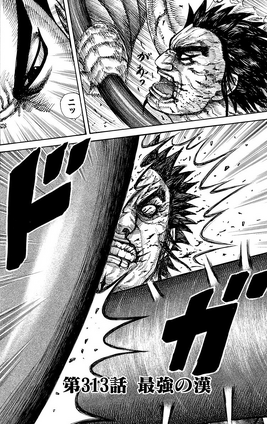 Chapter 3I3 cover