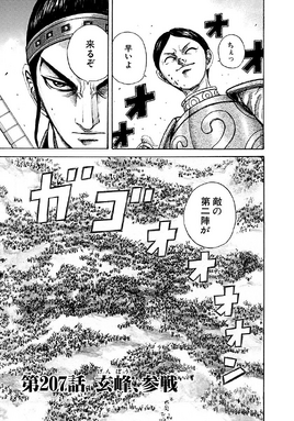 Chapter 207 cover
