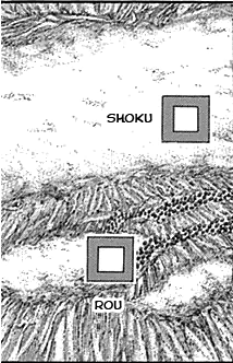 Rou and shoku.png