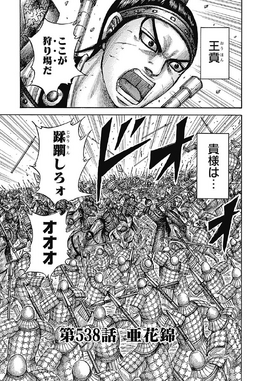 Chapter 538 cover