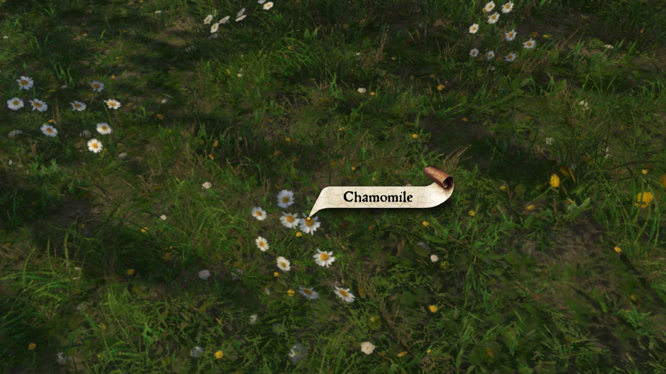 Chamomile Kingdom Come Deliverance Wiki Fandom
