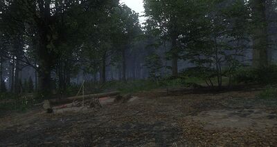 The clearing where the feast was held, with the patch where the carcass is buried at bottom right