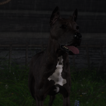 pics Kingdom Come Deliverance Dog Skin dogs kingdom come deliverance wiki