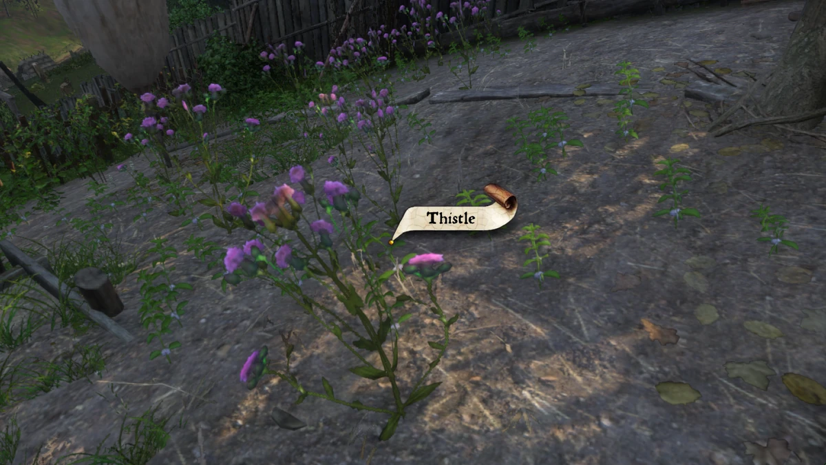 Thistle Kingdom Come Deliverance Wiki Fandom
