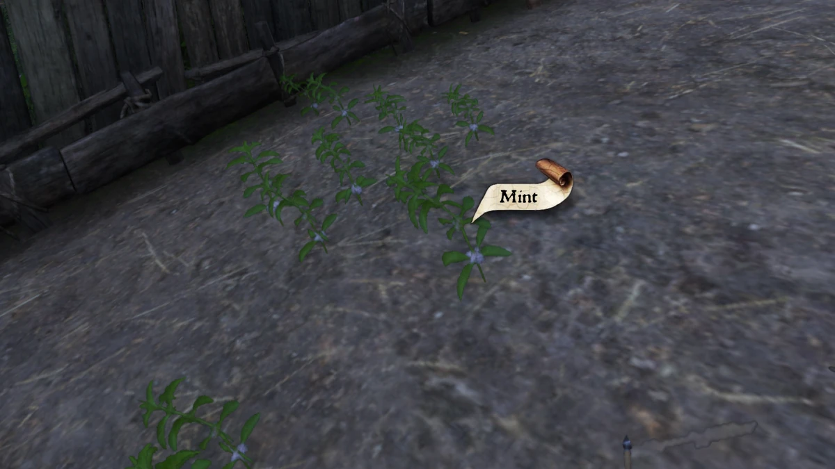 Mint Kingdom Come Deliverance Wiki Fandom