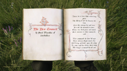 Pages 1-2