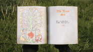 Pages 1-2
