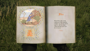 Pages 1-2