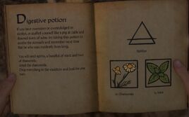 Digestive potion recipe
