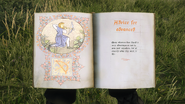 Pages 1-2
