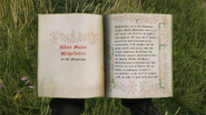 Pages 1-2