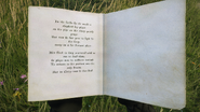 Pages 1-2