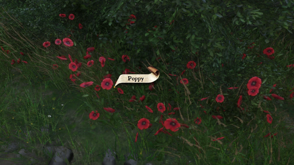 Poppy Kingdom Come Deliverance Wiki Fandom