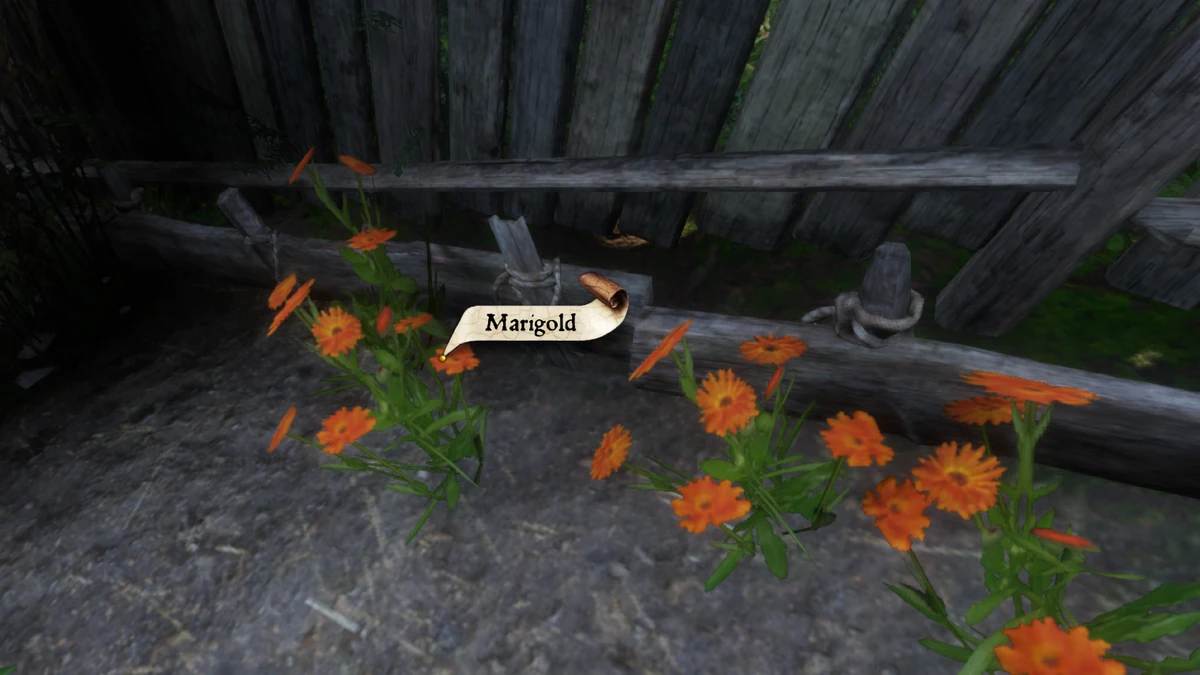 Marigold Kingdom Come Deliverance Wiki Fandom