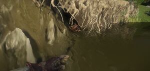 Devil's Skull Location