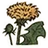 KingdomComeDandelion