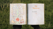 Pages 1-2