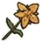 KingdomComeStJohnsWort