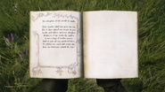 Pages 5-6