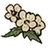 Henbane