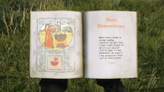 Pages 1-2