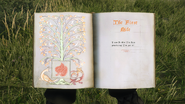 Pages 1-2