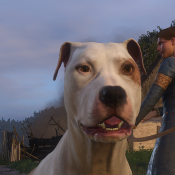 tinker kingdom come deliverance wiki