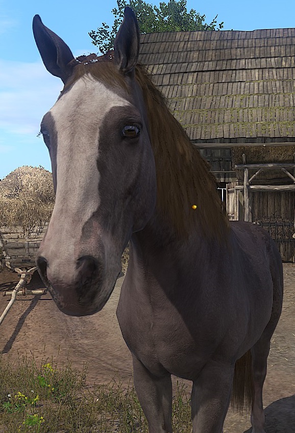 kingdom come deliverance how to get horse