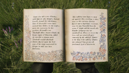 Pages 3-4