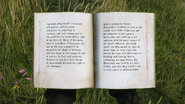 Pages 3-4