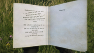Pages 1-2