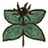 KingdomComeHerbParis
