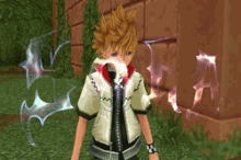 Roxas naming.gif