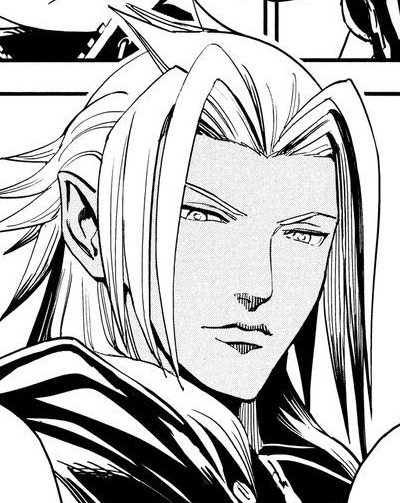 xemnas terra