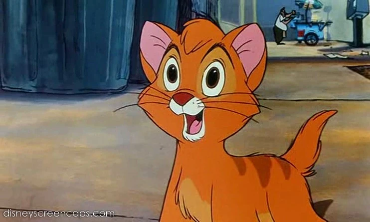 Рыжий кот мультик