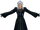 Xemnas
